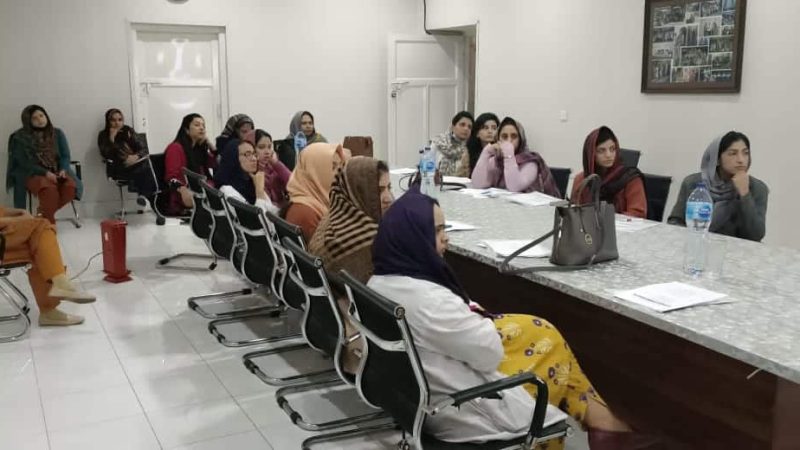 Workshop on labour care guide organized by Gynae unit 2 Hfh under supervision ( (12)